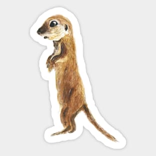 cute little otter watercolor Sticker